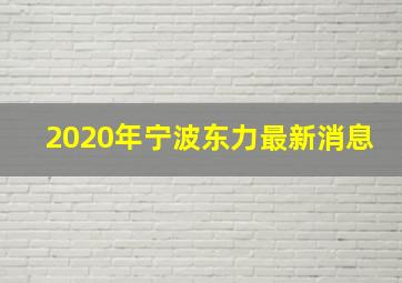 2020年宁波东力最新消息