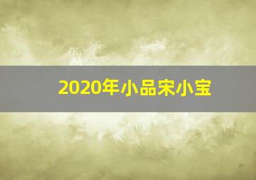 2020年小品宋小宝