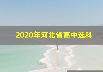 2020年河北省高中选科