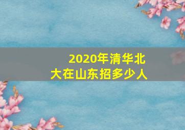 2020年清华北大在山东招多少人