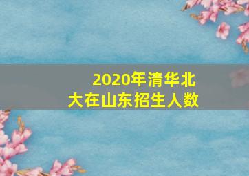 2020年清华北大在山东招生人数