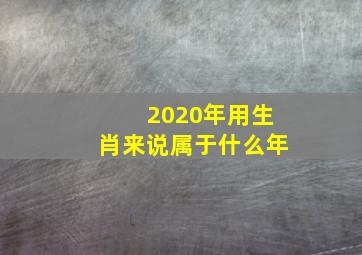 2020年用生肖来说属于什么年