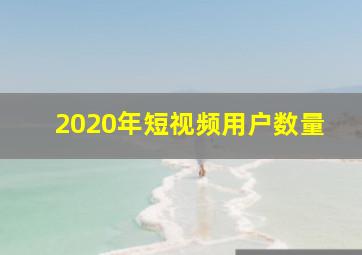 2020年短视频用户数量