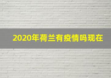 2020年荷兰有疫情吗现在