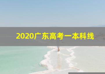 2020广东高考一本科线