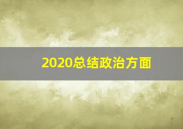 2020总结政治方面