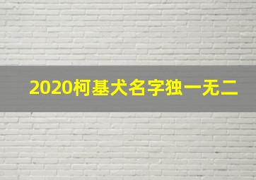 2020柯基犬名字独一无二