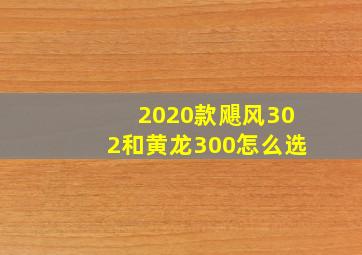 2020款飓风302和黄龙300怎么选