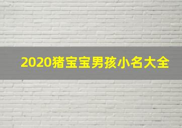 2020猪宝宝男孩小名大全