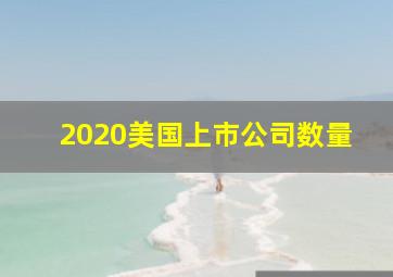 2020美国上市公司数量