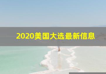 2020美国大选最新信息