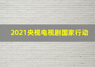 2021央视电视剧国家行动