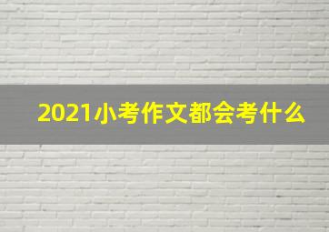 2021小考作文都会考什么