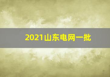 2021山东电网一批