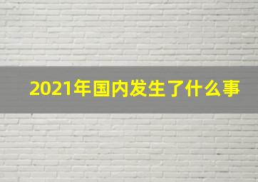 2021年国内发生了什么事