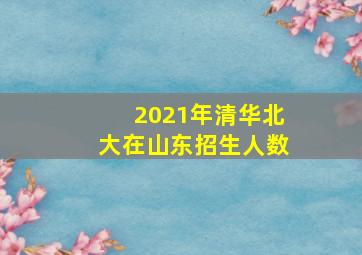 2021年清华北大在山东招生人数