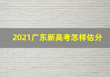 2021广东新高考怎样估分