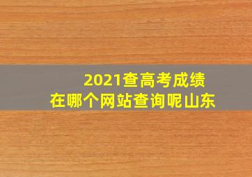 2021查高考成绩在哪个网站查询呢山东