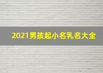 2021男孩起小名乳名大全