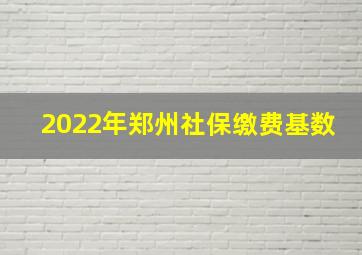 2022年郑州社保缴费基数