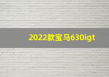 2022款宝马630igt