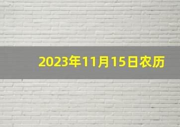 2023年11月15日农历