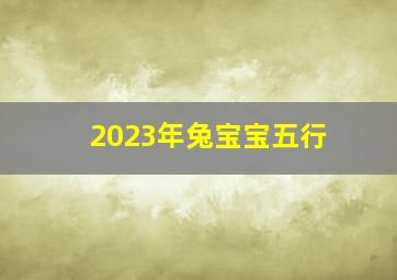 2023年兔宝宝五行