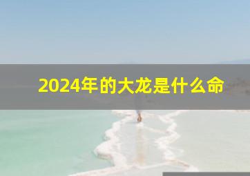 2024年的大龙是什么命