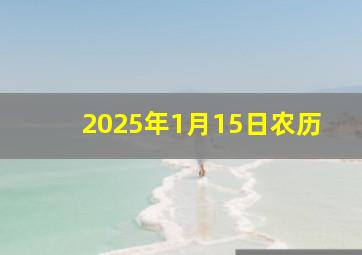 2025年1月15日农历