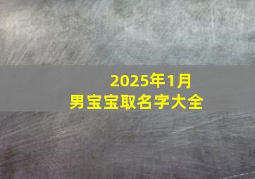 2025年1月男宝宝取名字大全