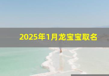 2025年1月龙宝宝取名