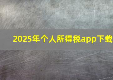 2025年个人所得税app下载