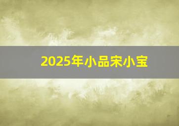 2025年小品宋小宝