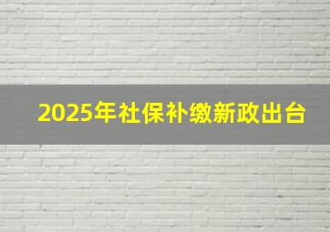 2025年社保补缴新政出台