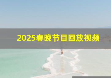 2025春晚节目回放视频