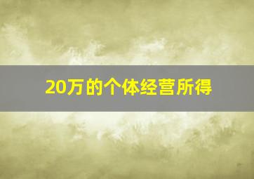 20万的个体经营所得