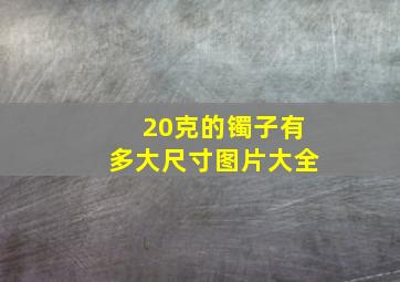 20克的镯子有多大尺寸图片大全