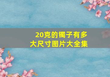 20克的镯子有多大尺寸图片大全集