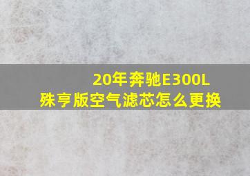 20年奔驰E300L殊亨版空气滤芯怎么更换