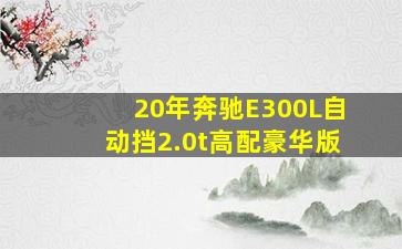 20年奔驰E300L自动挡2.0t高配豪华版