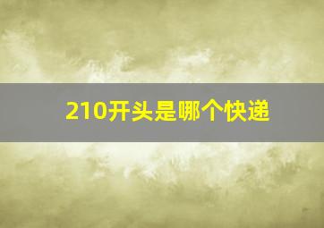 210开头是哪个快递