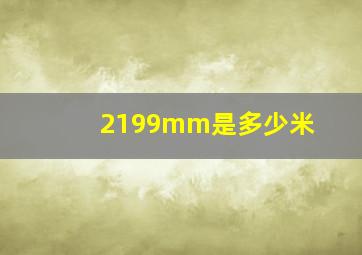 2199mm是多少米