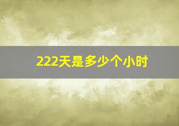 222天是多少个小时