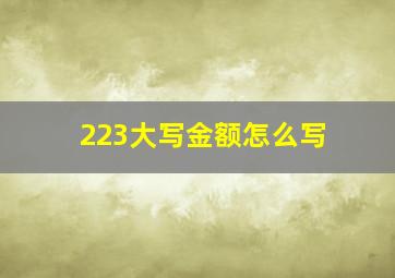 223大写金额怎么写