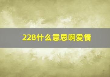 228什么意思啊爱情