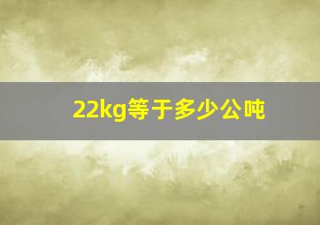 22kg等于多少公吨