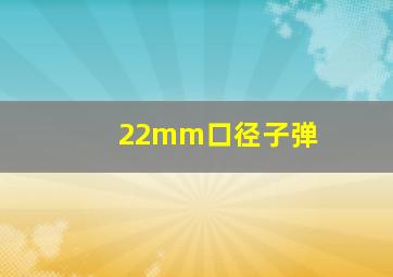 22mm口径子弹