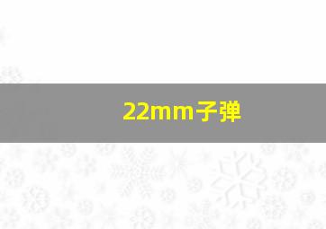 22mm子弹