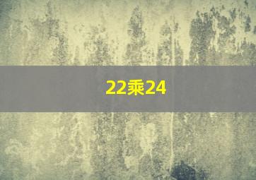 22乘24