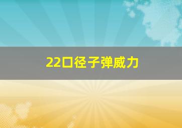 22口径子弹威力